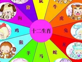 畜牲生肖要注意准确生肖_精选解释落实将深度解析_安卓版977.493