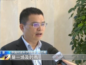 为地方发展减负担 专家解读万亿元化债“组合拳”