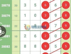 2024新奥历史开奖记录46期_作答解释落实的民间信仰_V79.81.52