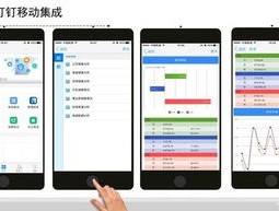 2024年澳门正版全资料_详细解答解释落实_iPad33.74.61