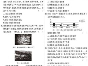 新澳门资料大全正版资料2024年免费下载_结论释义解释落实_实用版856.330