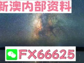 2024年天天彩资料免费大全(2024年新奥历史记录)--详细解答解释落实--实用版070.102