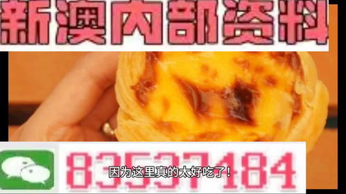 澳门精准免费资料大全正版-全面探讨落实与释义全方位